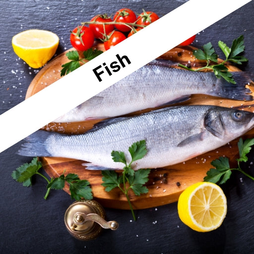 Fish