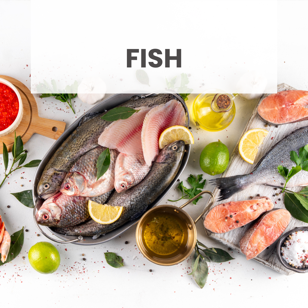 Fish